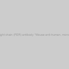 Image of Anti-Ferritin light chain (FER) antibody *Mouse anti-human, monoclonal IgG1*